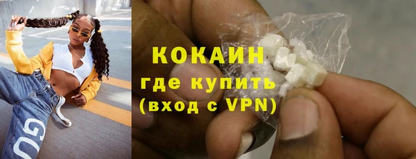 прущие грибы Бородино