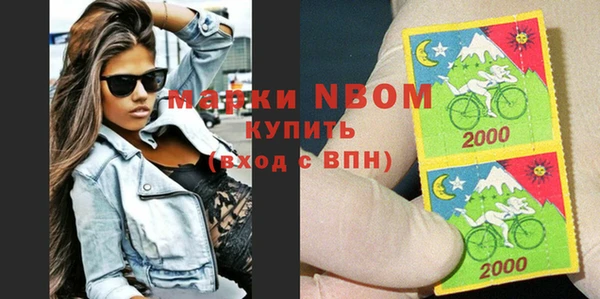 прущие грибы Бородино