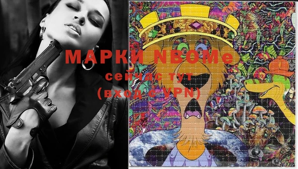 прущие грибы Бородино