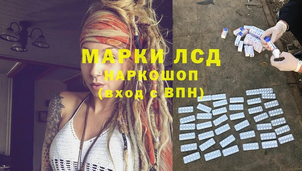 прущие грибы Бородино